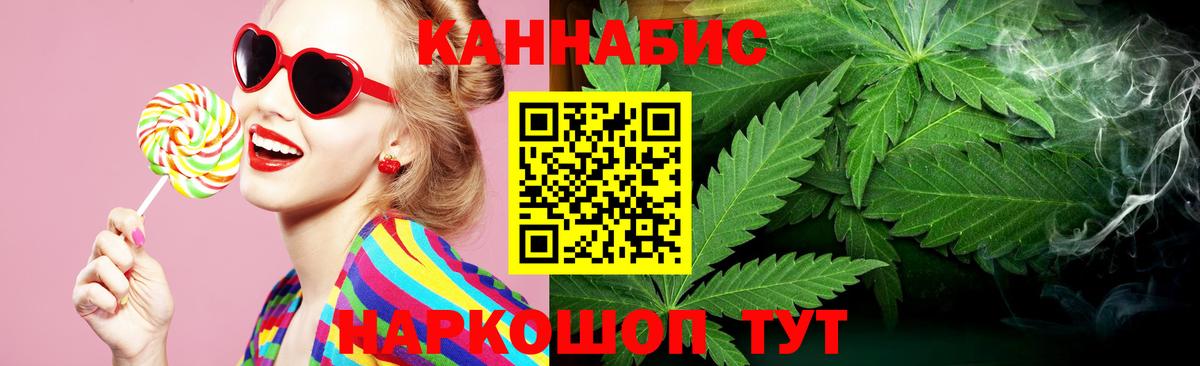 Канабис сатива Томск
